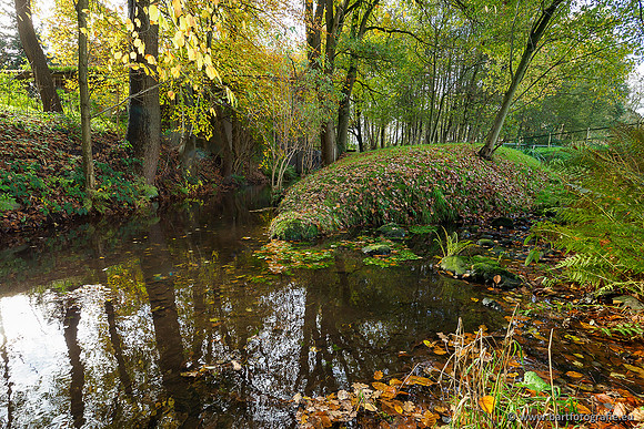 Zuidelijke en Middelste Horsthoekerbeek 061119-107