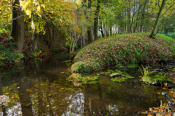 Zuidelijke en Middelste Horsthoekerbeek 061119-108