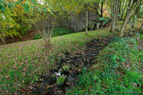 Zuidelijke en Middelste Horsthoekerbeek 061119-109