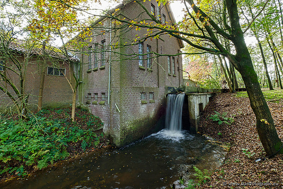 Zuidelijke en Middelste Horsthoekerbeek 061119-110