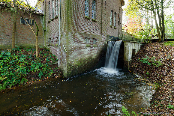 Zuidelijke en Middelste Horsthoekerbeek 061119-111