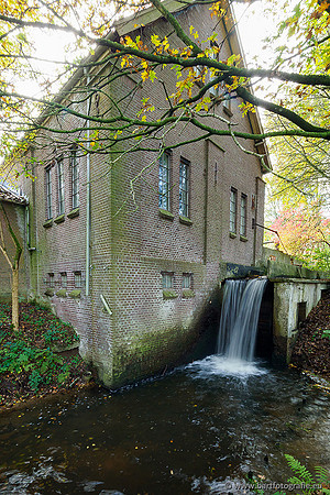 Zuidelijke en Middelste Horsthoekerbeek 061119-112