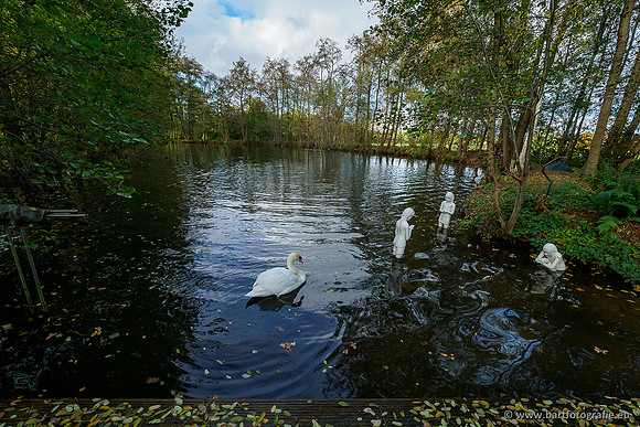 Zuidelijke en Middelste Horsthoekerbeek 061119-117