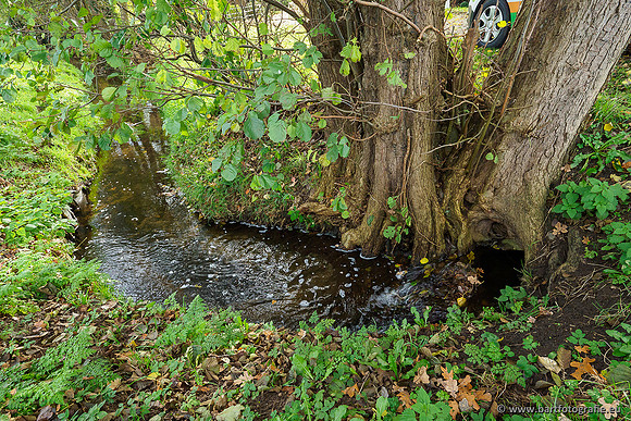 Zuidelijke en Middelste Horsthoekerbeek 061119-120