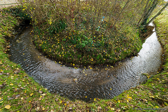 Zuidelijke en Middelste Horsthoekerbeek 061119-121
