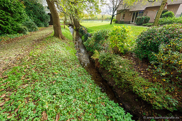 Zuidelijke en Middelste Horsthoekerbeek 061119-122