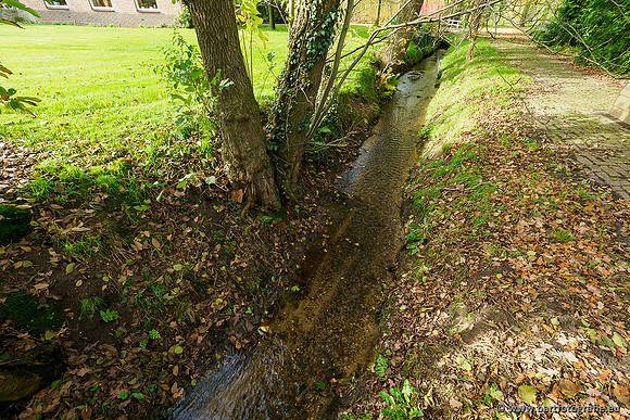 Zuidelijke en Middelste Horsthoekerbeek 061119-123