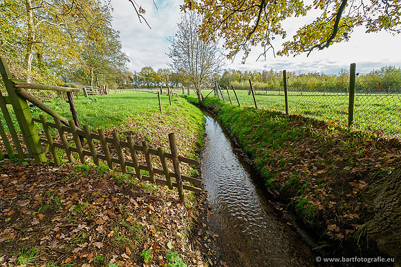 Zuidelijke en Middelste Horsthoekerbeek 061119-124
