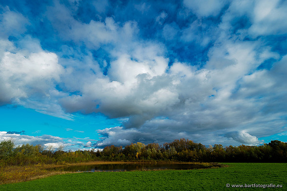 Zuidelijke en Middelste Horsthoekerbeek 061119-126