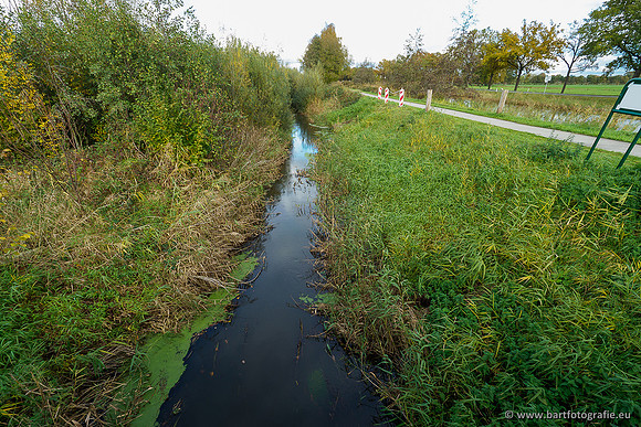 Zuidelijke en Middelste Horsthoekerbeek 061119-128
