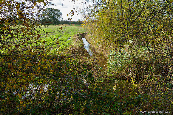 Zuidelijke en Middelste Horsthoekerbeek 061119-129