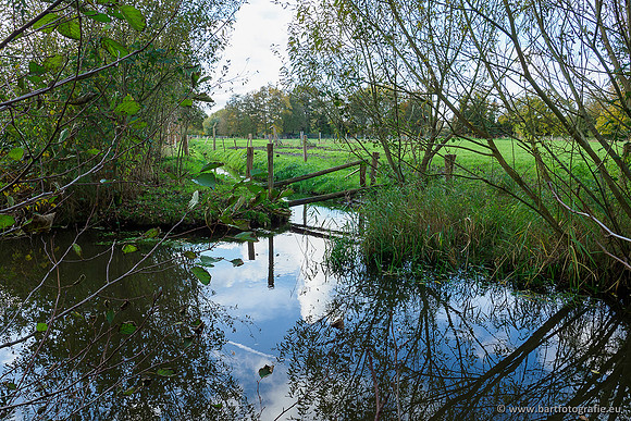 Zuidelijke en Middelste Horsthoekerbeek 061119-130