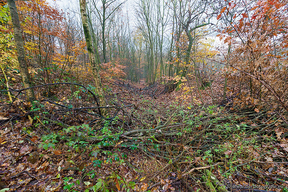 Noordelijke Horsthoekerbeek 221119-002