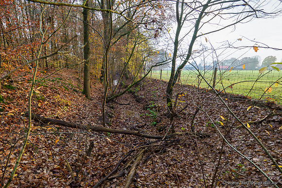 Noordelijke Horsthoekerbeek 221119-004