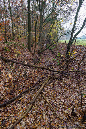 Noordelijke Horsthoekerbeek 221119-003