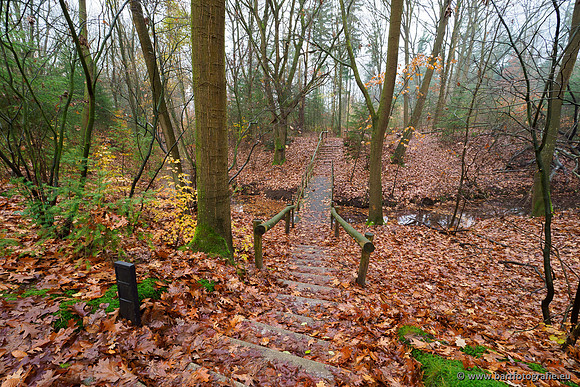 Noordelijke Horsthoekerbeek 221119-007