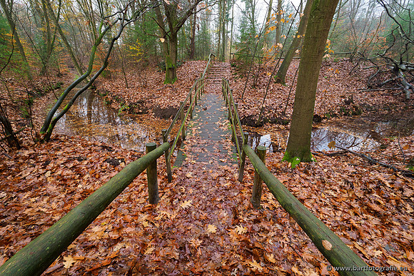 Noordelijke Horsthoekerbeek 221119-008
