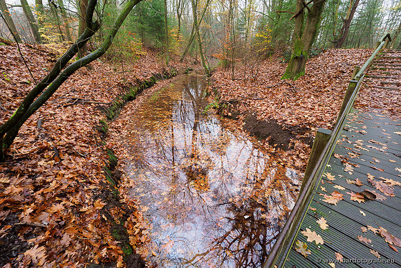 Noordelijke Horsthoekerbeek 221119-009