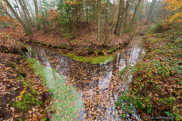 Noordelijke Horsthoekerbeek 221119-011