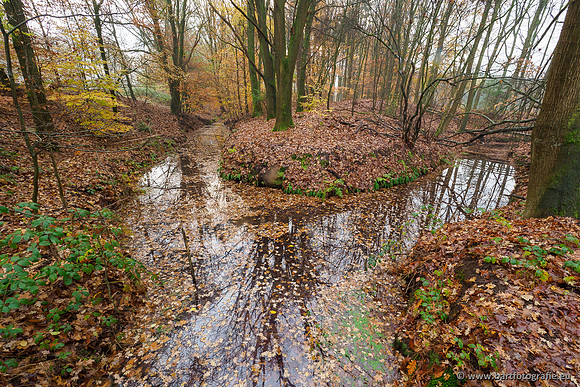 Noordelijke Horsthoekerbeek 221119-012