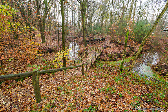 Noordelijke Horsthoekerbeek 221119-013