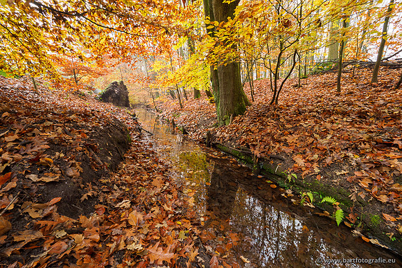 Noordelijke Horsthoekerbeek 221119-015