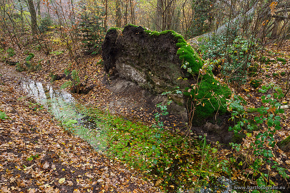 Noordelijke Horsthoekerbeek 221119-023