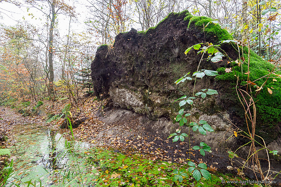 Noordelijke Horsthoekerbeek 221119-024