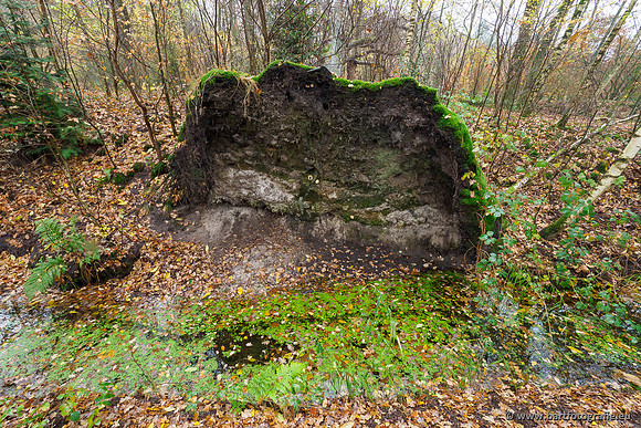 Noordelijke Horsthoekerbeek 221119-025
