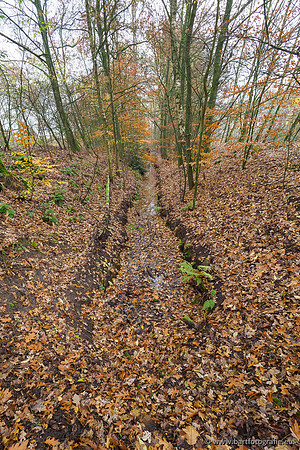 Noordelijke Horsthoekerbeek 221119-026