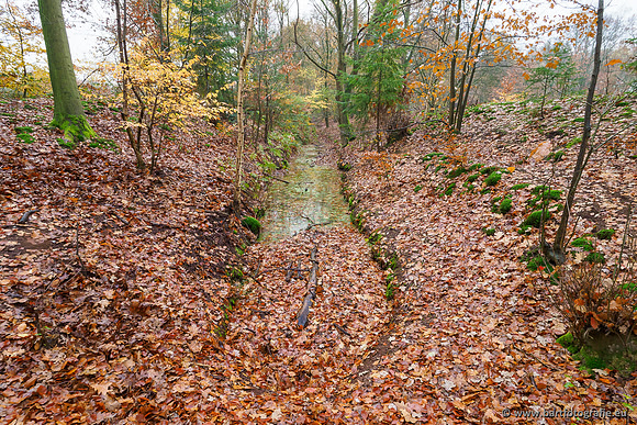 Noordelijke Horsthoekerbeek 221119-028