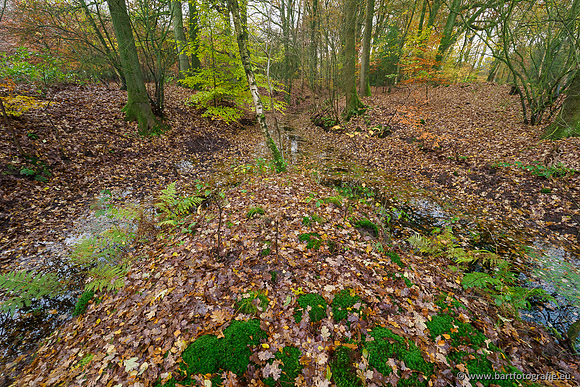 Noordelijke Horsthoekerbeek 221119-029