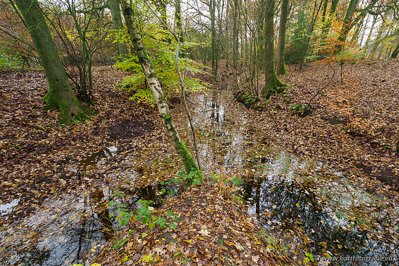 Noordelijke Horsthoekerbeek 221119-030