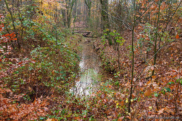 Noordelijke Horsthoekerbeek 221119-031