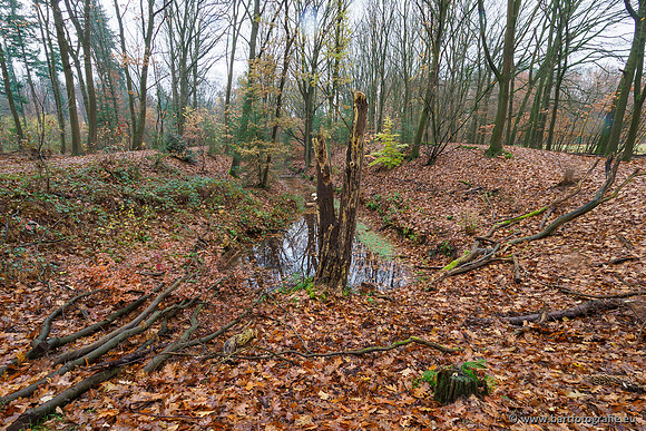 Noordelijke Horsthoekerbeek 221119-033