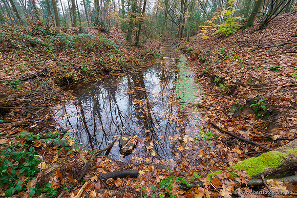 Noordelijke Horsthoekerbeek 221119-035
