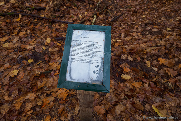 Noordelijke Horsthoekerbeek 221119-036