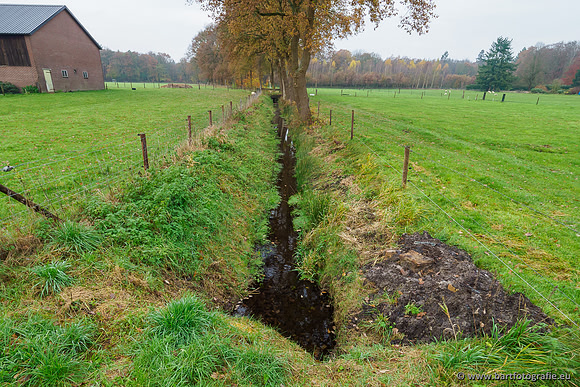 Noordelijke Horsthoekerbeek 221119-037
