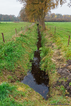 Noordelijke Horsthoekerbeek 221119-038