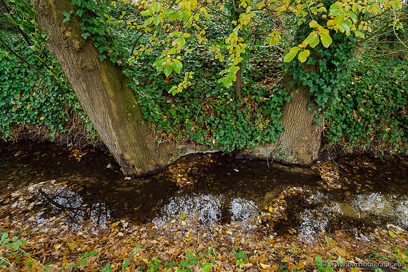 Noordelijke Horsthoekerbeek 221119-040