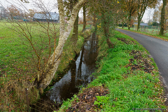 Noordelijke Horsthoekerbeek 221119-041