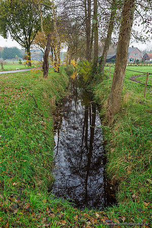 Noordelijke Horsthoekerbeek 221119-042