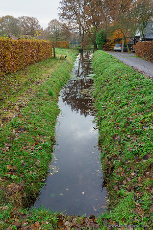 Noordelijke Horsthoekerbeek 221119-043