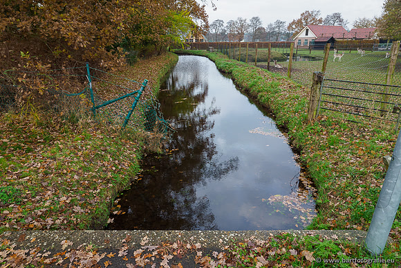 Noordelijke Horsthoekerbeek 221119-045
