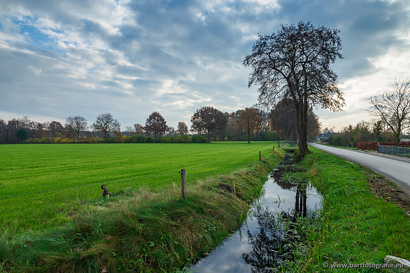 Noordelijke Horsthoekerbeek 221119-048