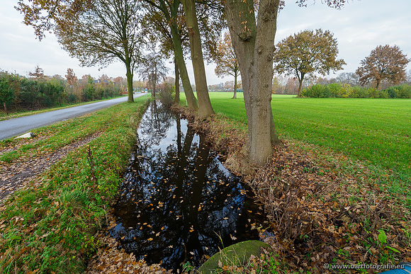 Noordelijke Horsthoekerbeek 221119-050