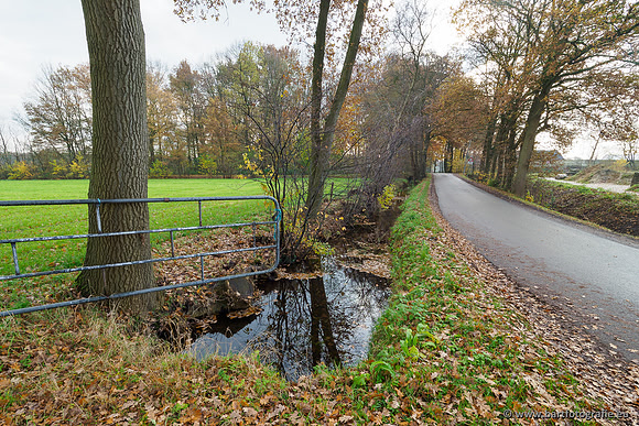 Noordelijke Horsthoekerbeek 221119-051