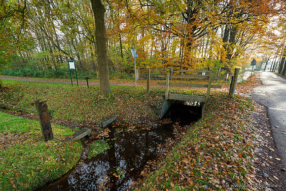 Noordelijke Horsthoekerbeek 221119-052
