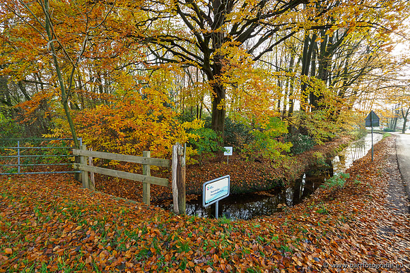 Noordelijke Horsthoekerbeek 221119-053