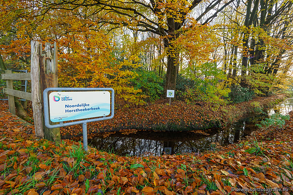 Noordelijke Horsthoekerbeek 221119-054